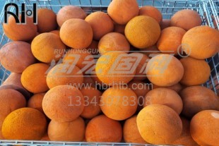 双边法兰, RH-921